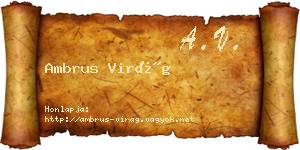 Ambrus Virág névjegykártya